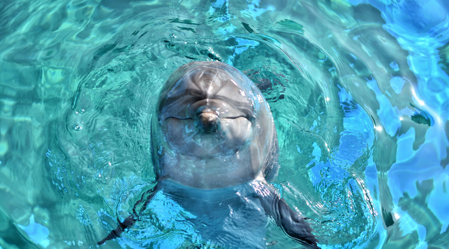 長隆歡樂世界旅游