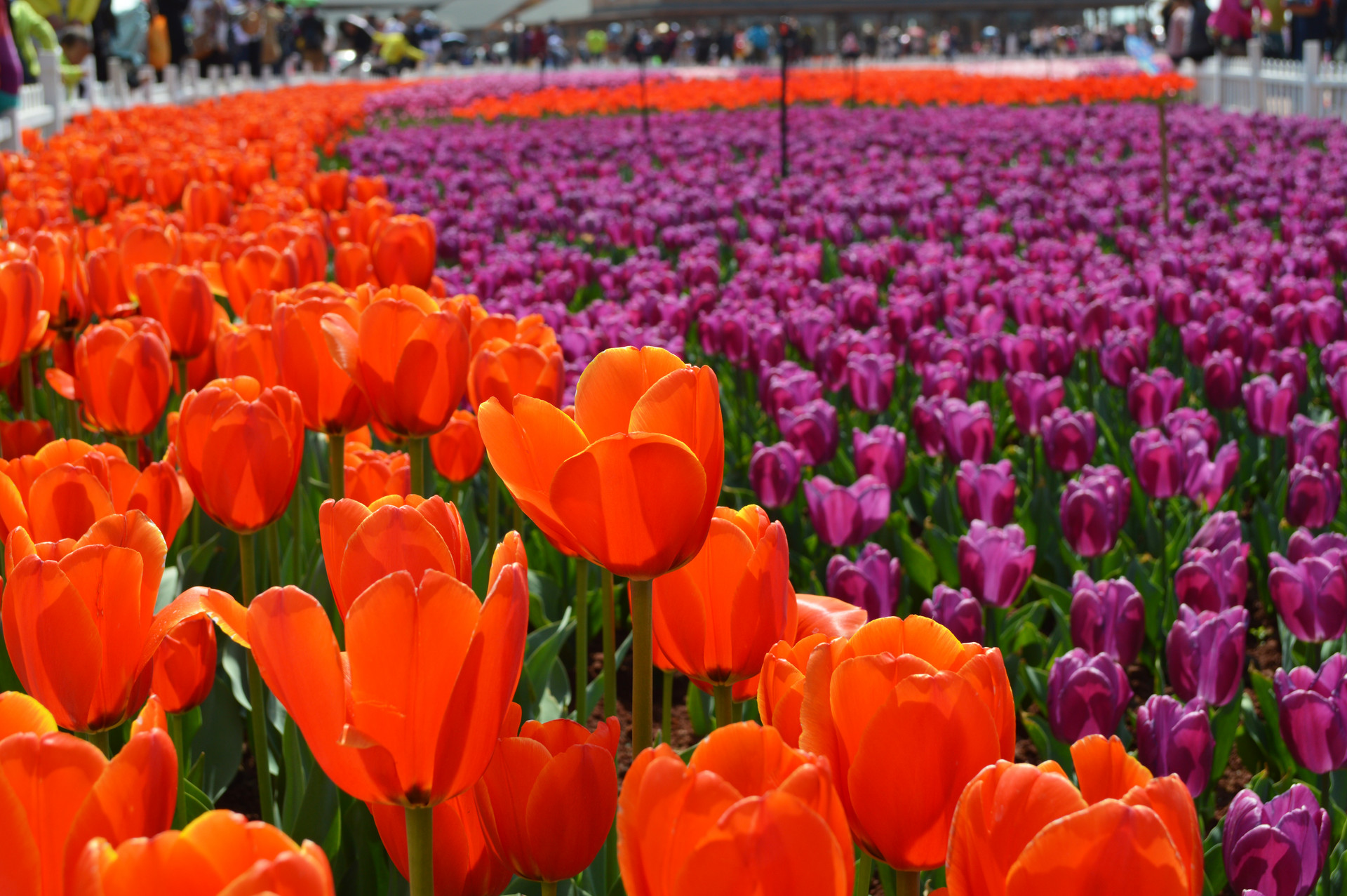 國(guó)內(nèi)旅游