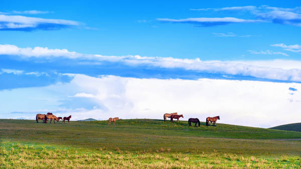 內(nèi)蒙古旅游