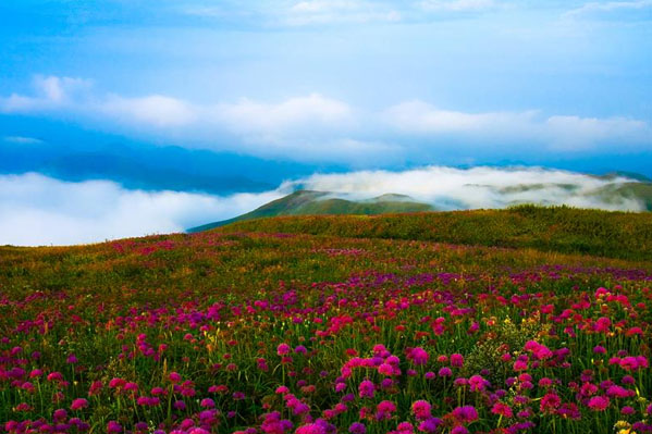 國(guó)內(nèi)旅游