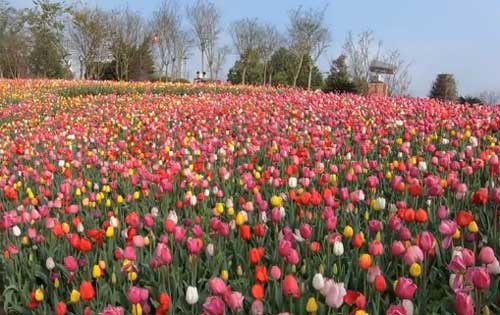 國(guó)內(nèi)旅游