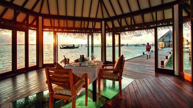 馬爾代夫神仙珊瑚13