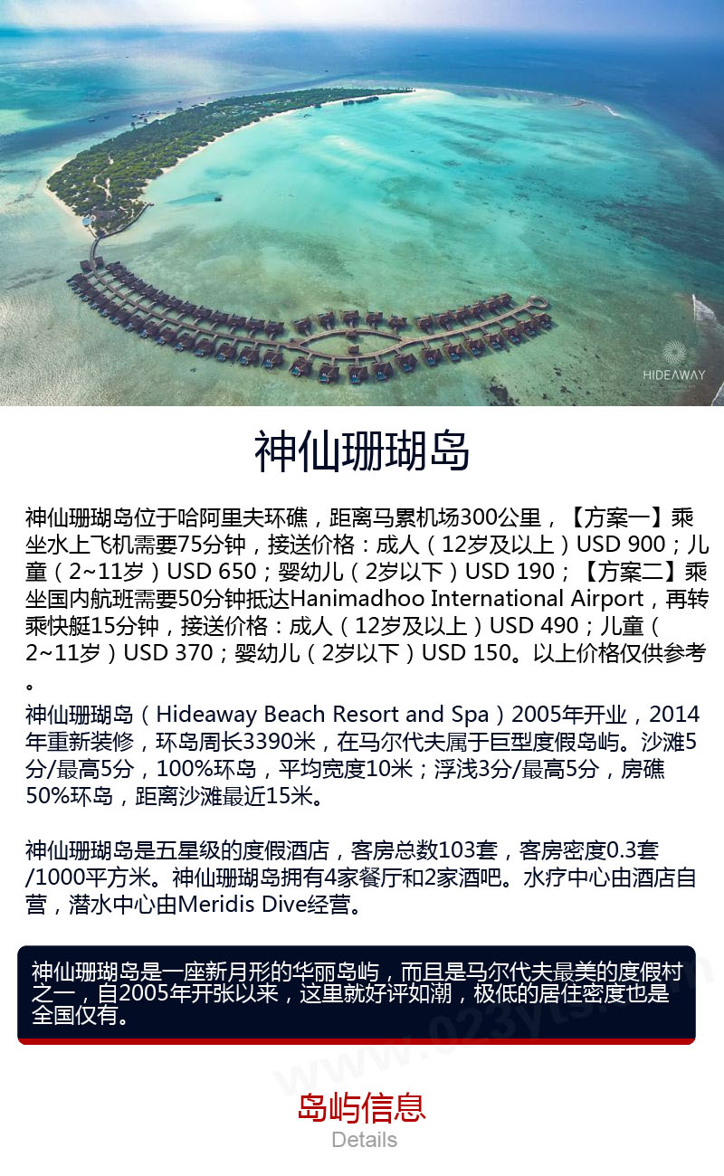 馬爾代夫神仙珊瑚