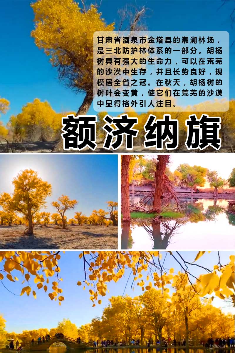 敦煌額濟(jì)納旗