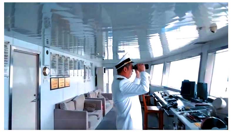 華夏神女駕駛倉